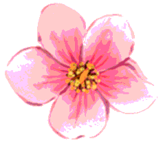 flower1