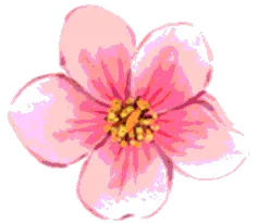 flower1