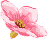 flower2