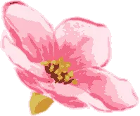 flower2